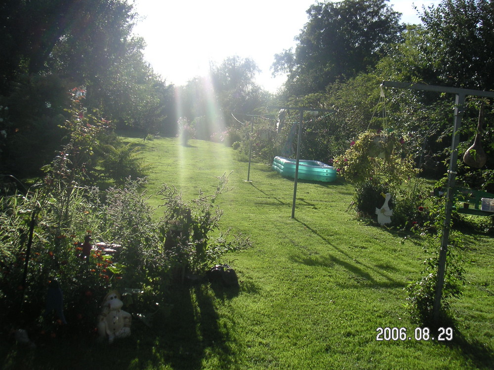 garten im sommer