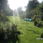 garten im sommer