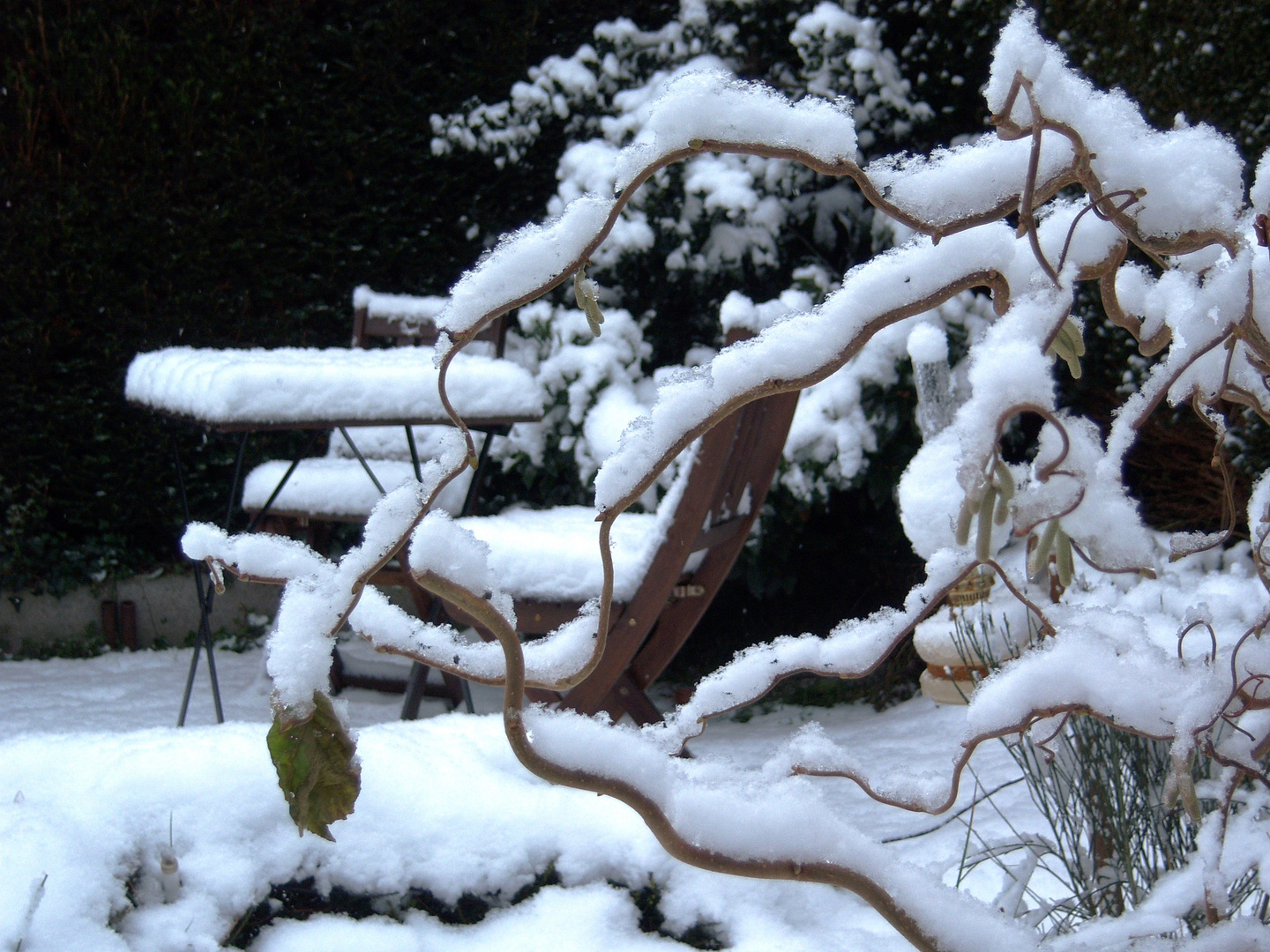 Garten im Winter