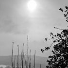 Garten im Winter