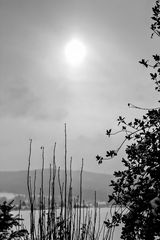 Garten im Winter