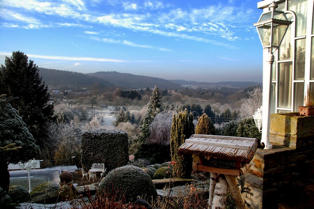 Garten im Winter