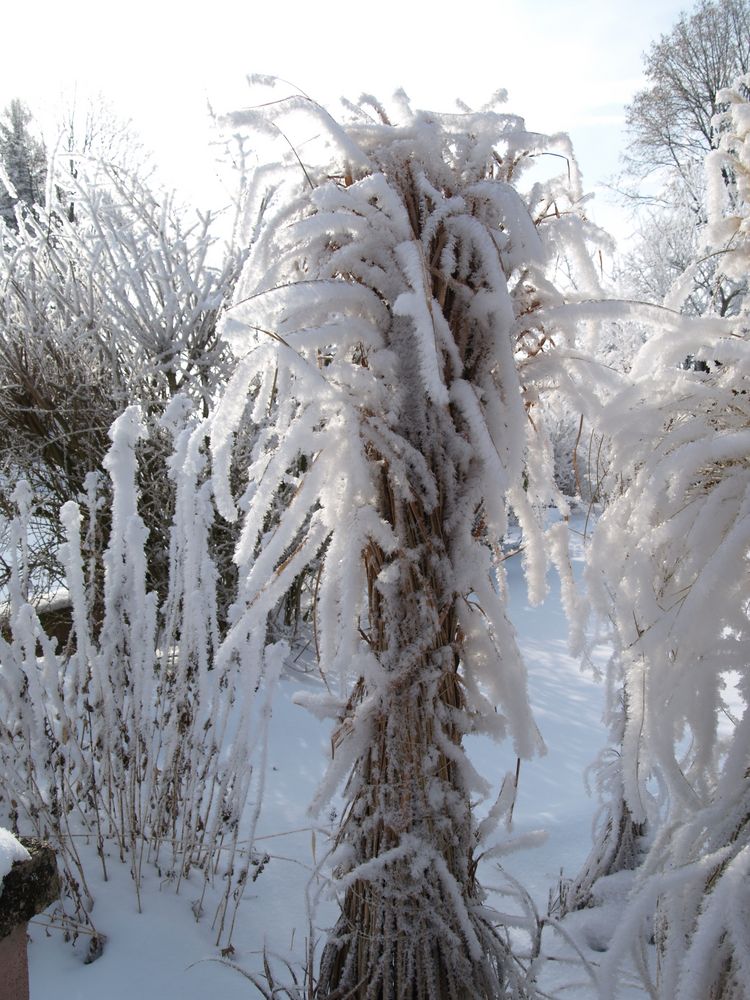 Garten im Winter