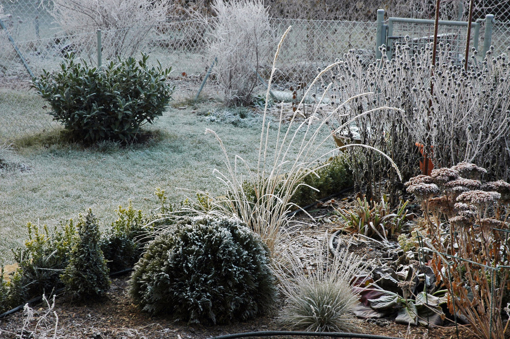 Garten im Winter