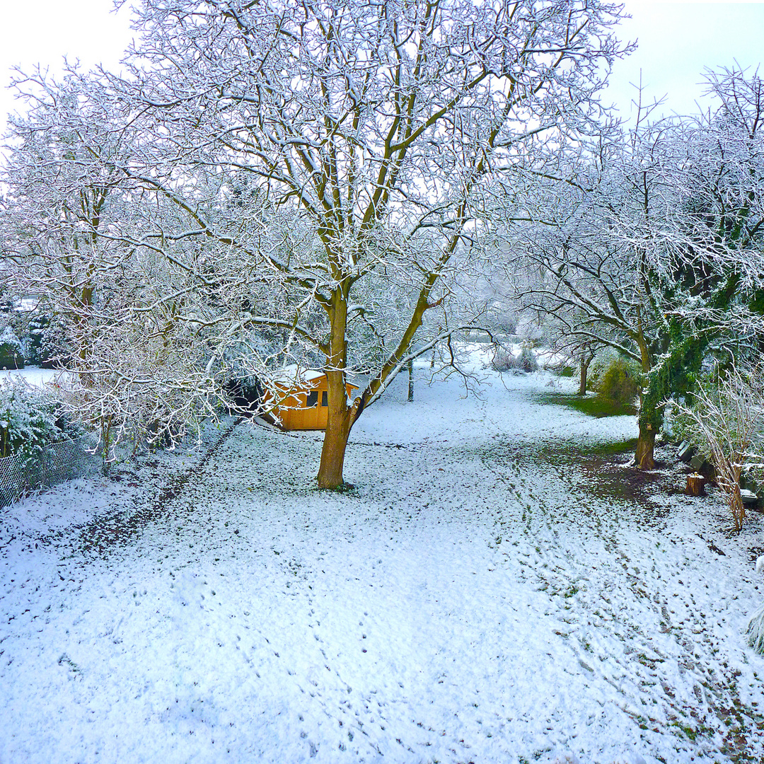 Garten im Winter