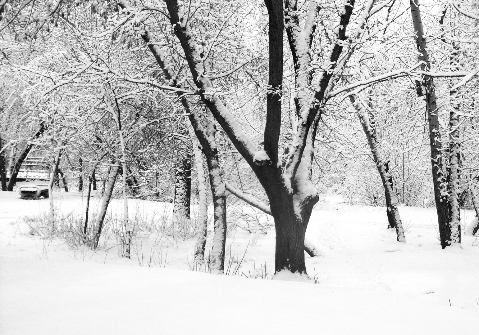 Garten im Winter