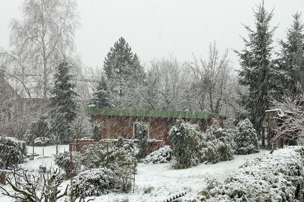 Garten im Winter