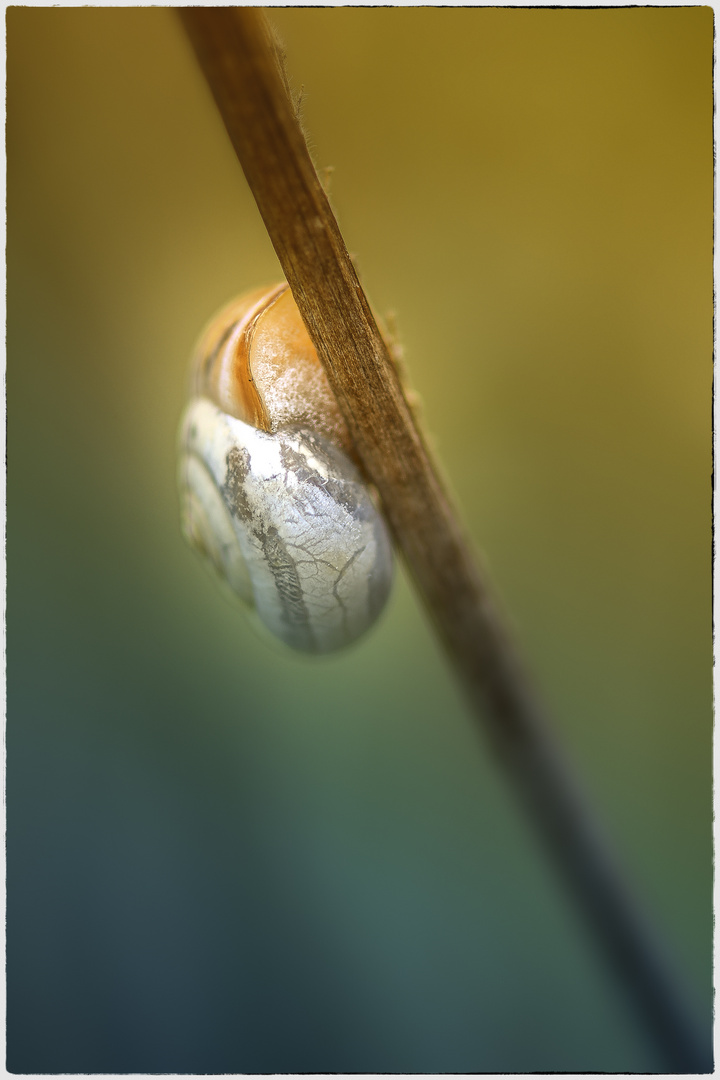 Garten Impressionen