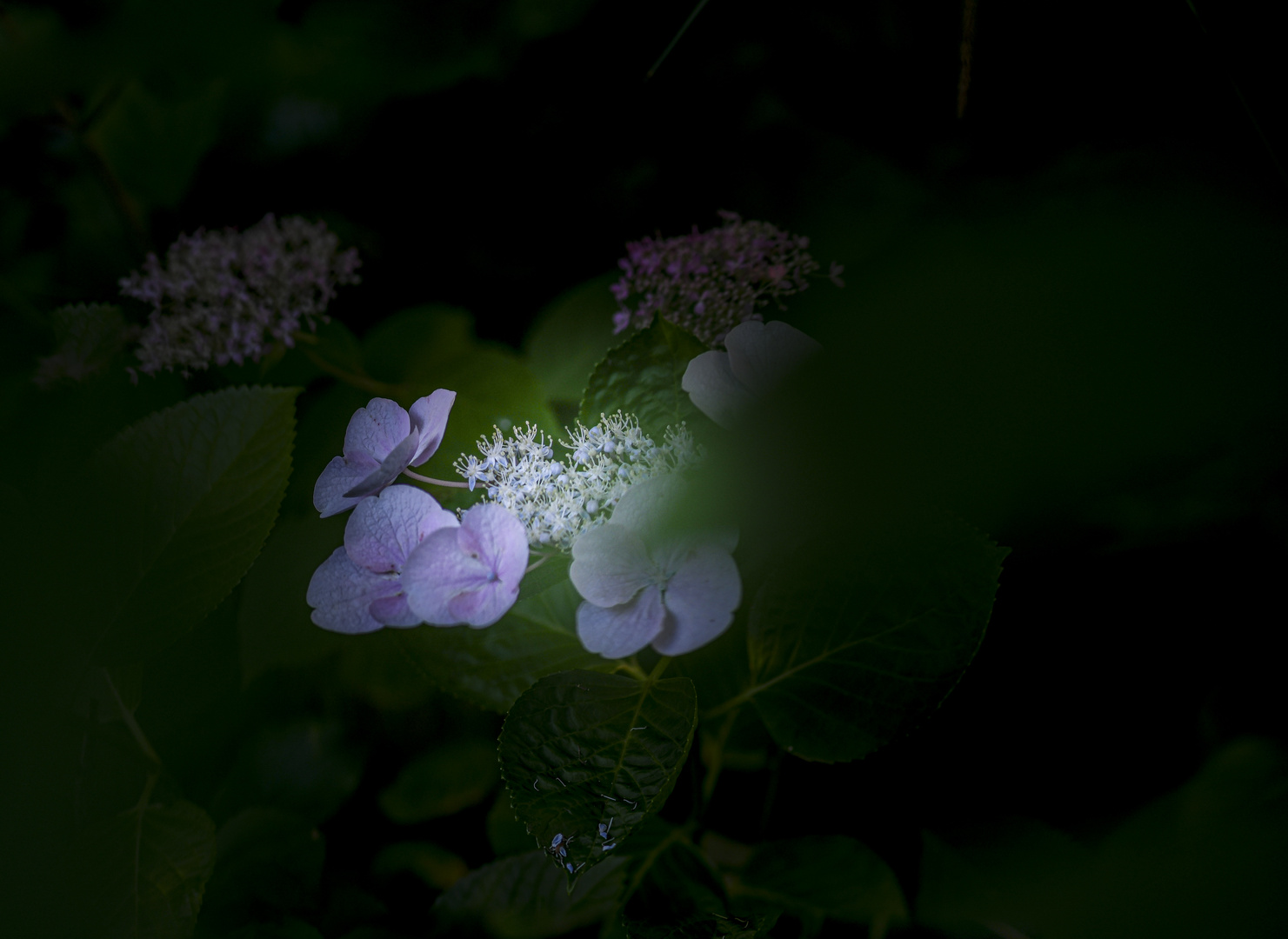 Garten Impressionen