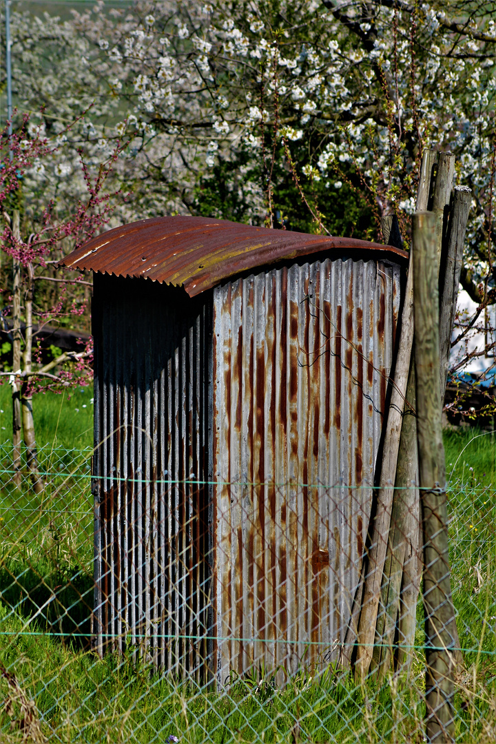 Garten Impressionen