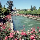 Garten in der Alhambra / Granada