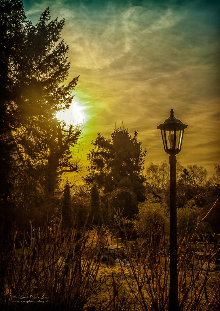 Garten in der Frühe