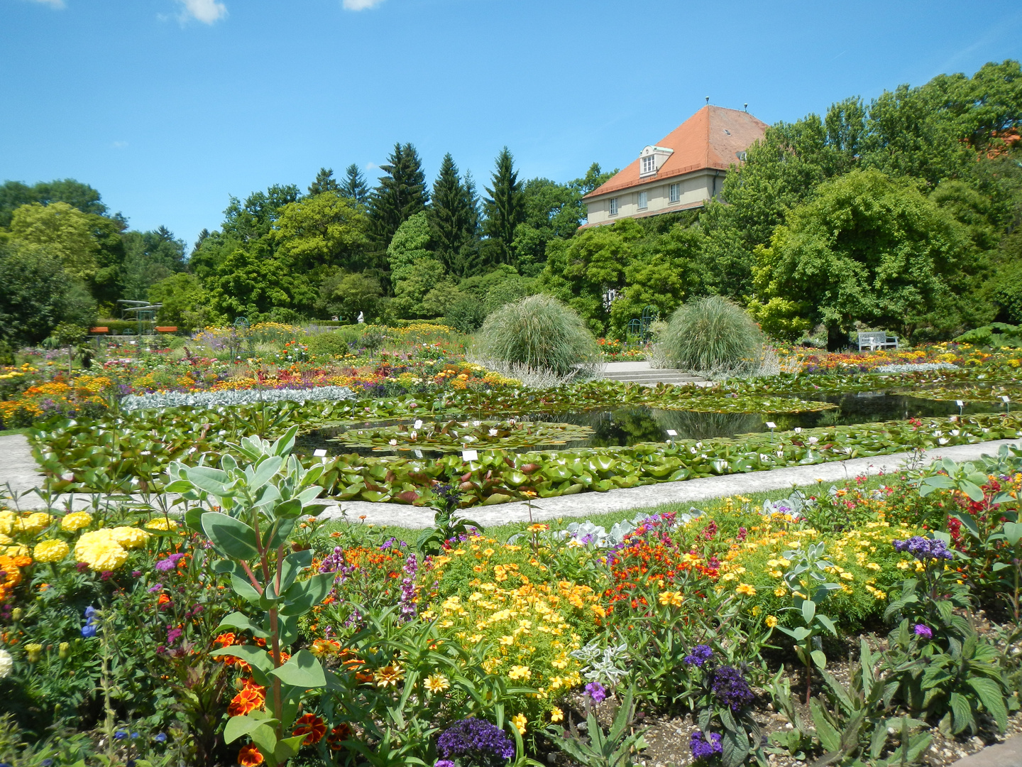 Garten in der Stadt