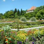 Garten in der Stadt