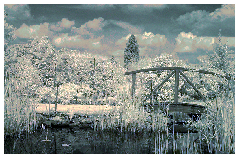 Garten in Farb-IR