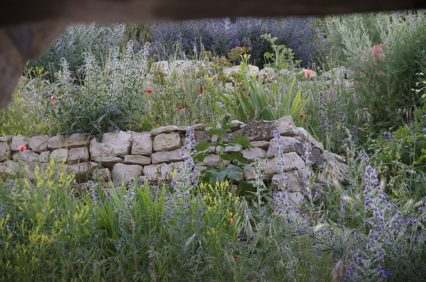 Garten in Haut-Banon