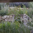 Garten in Haut-Banon