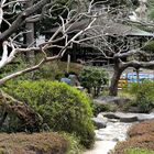 Garten in Japan
