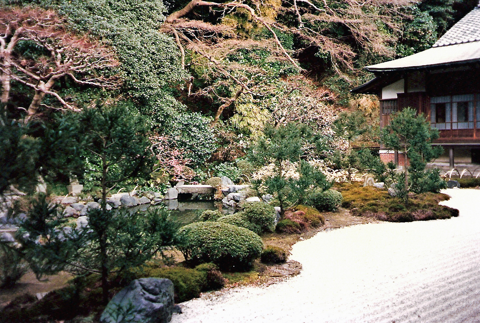 Garten in Kamakura (MW 1997/2  - jm)