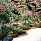 Garten in Kamakura (MW 1997/2  - jm)