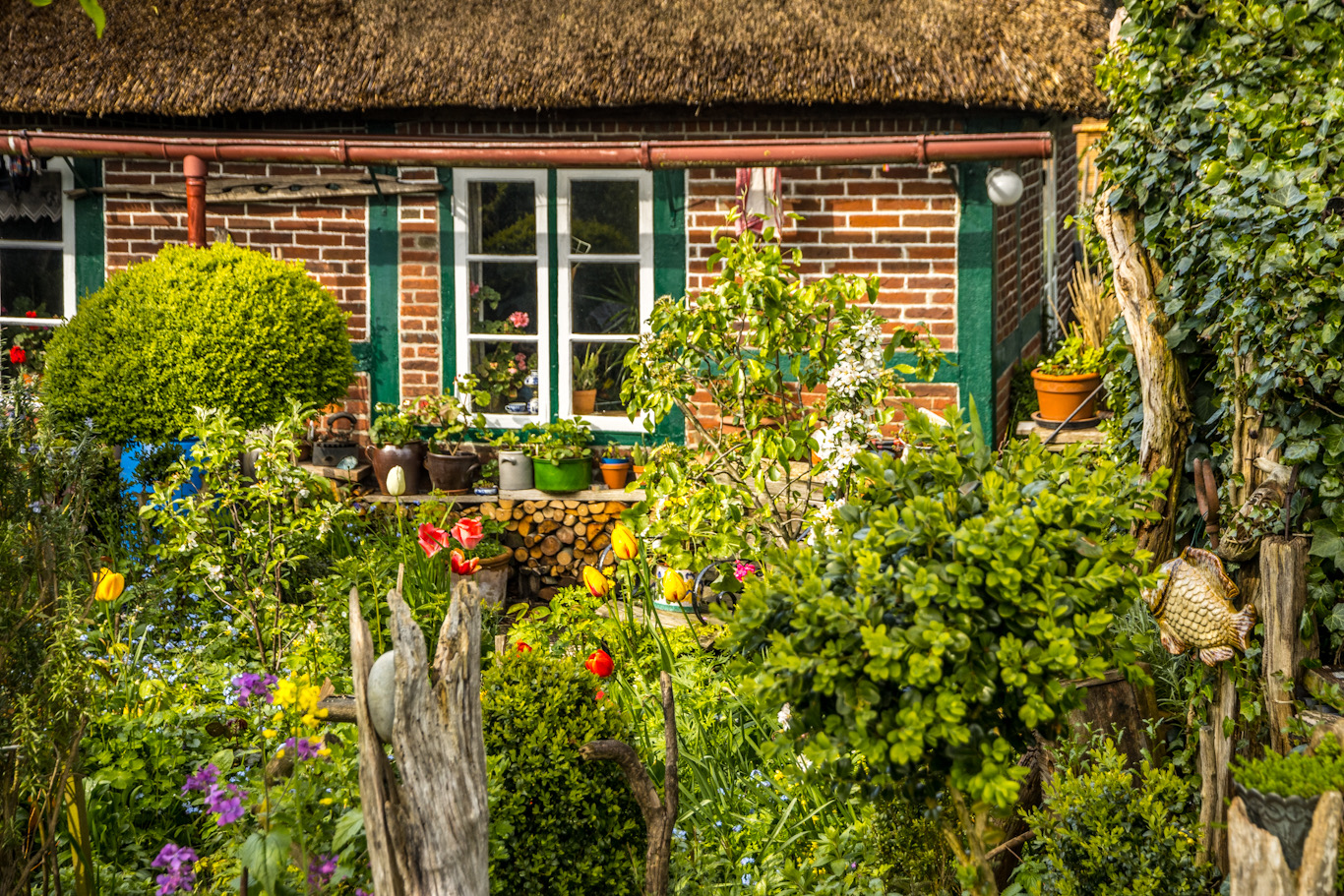 Garten in Nordfriesland 