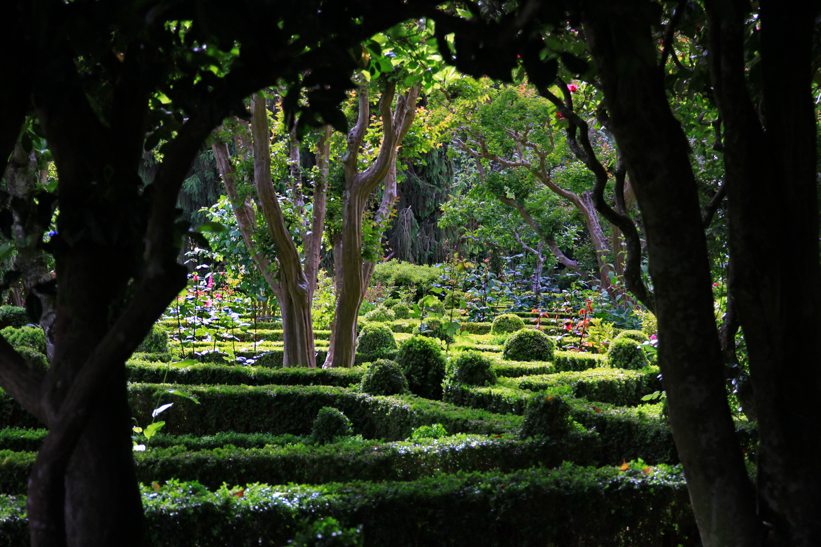 Garten in Portugal