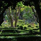 Garten in Portugal