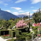 Garten in Südtirol