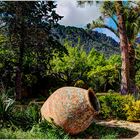 Garten in Valldemossa **