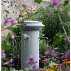 Garten in Villers l'Abbaye