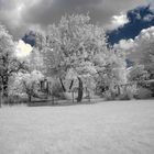 Garten-IR2