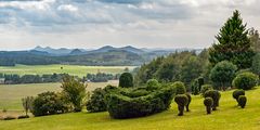 Garten, Kirchturmspitze, und Solitär