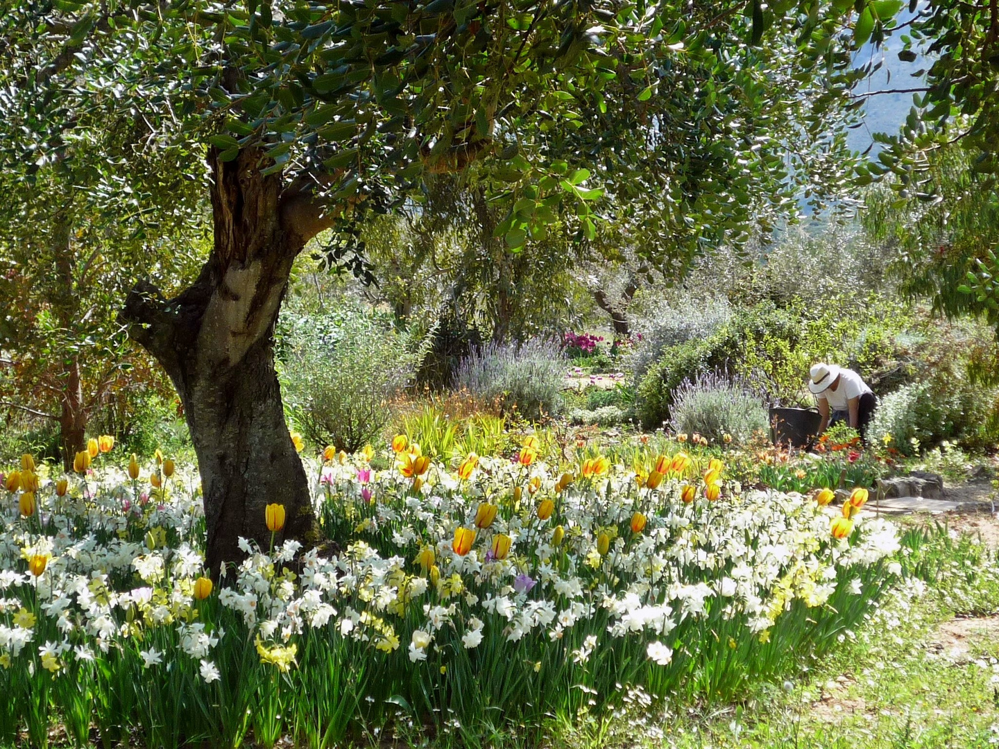 Garten macht Arbeit ...