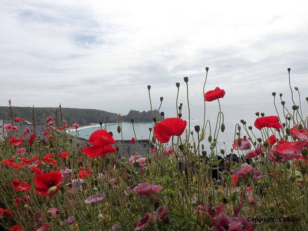 Garten Minack Theatre / UK