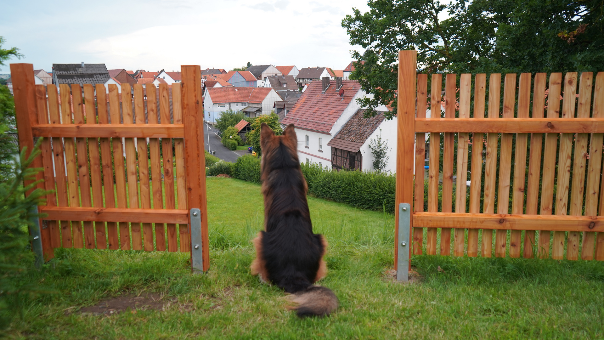 Garten mit Aussicht