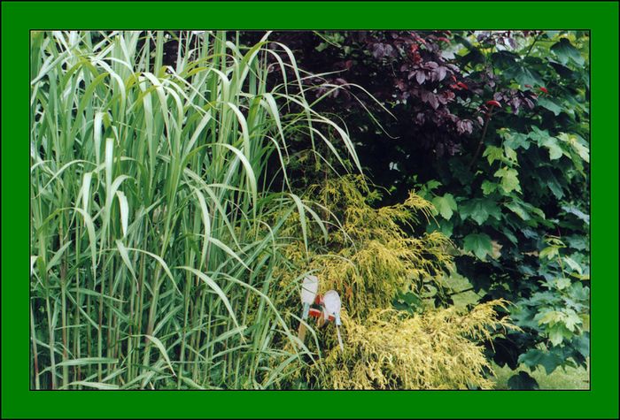 Garten mit Holzviech