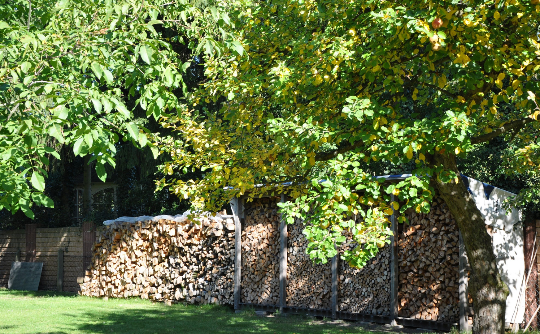 Garten mit Holzvorrat