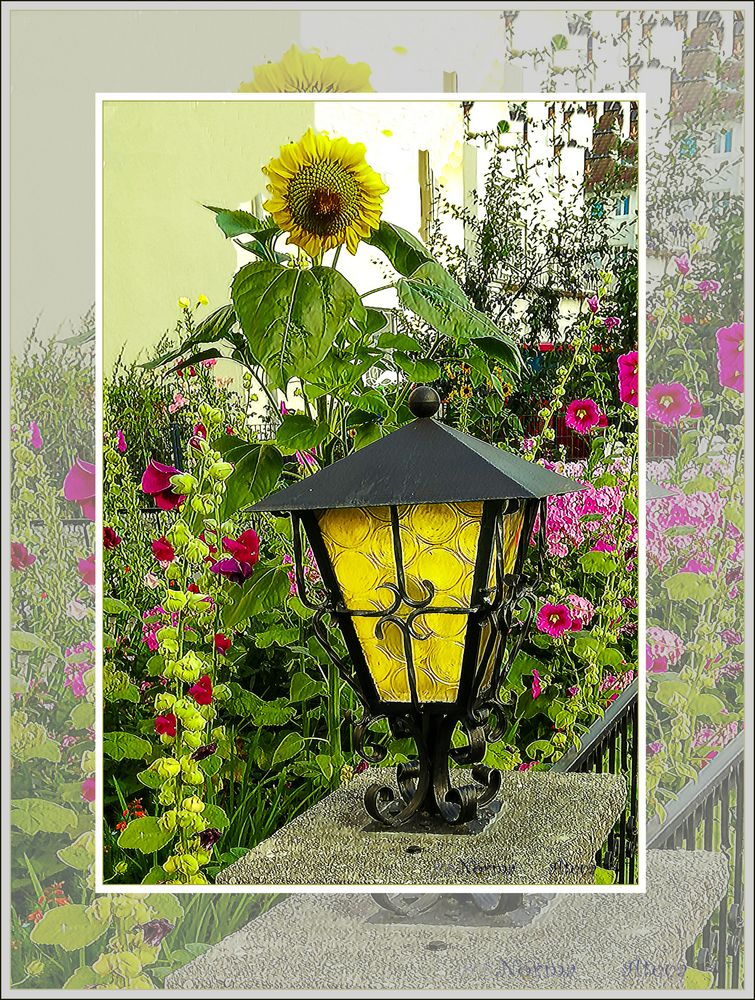 Garten mit Lampe 