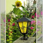 Garten mit Lampe 