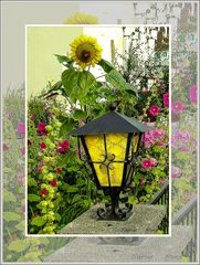 Garten mit Lampe 