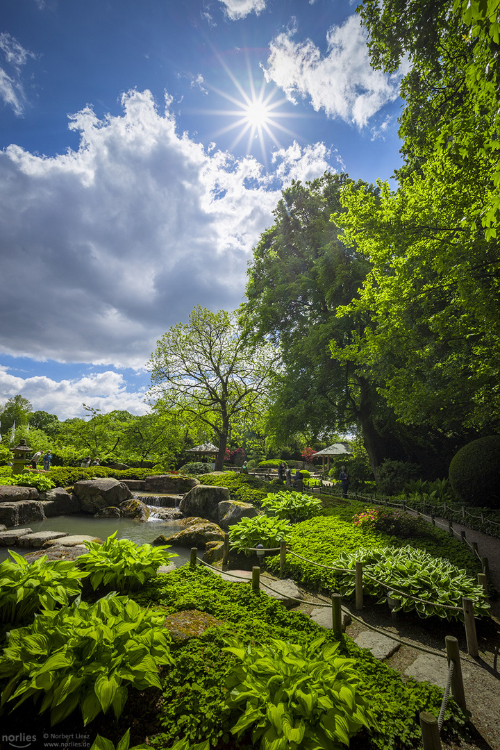 Garten mit Sonne