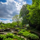 Garten mit Sonne