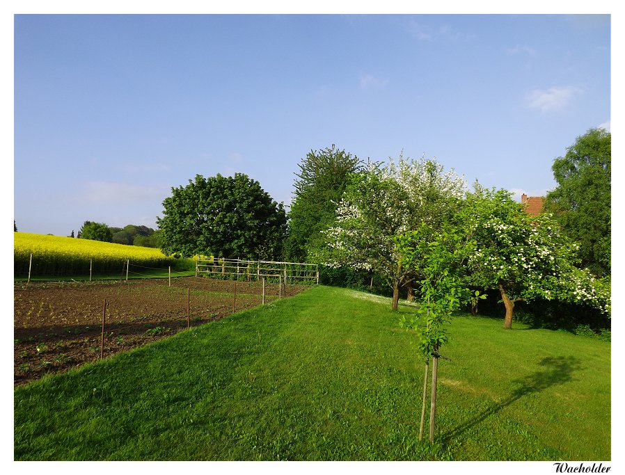 Garten nach Nordosten