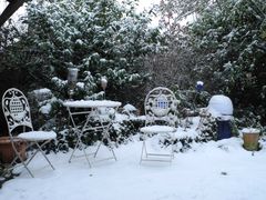 Garten ohne Blumen