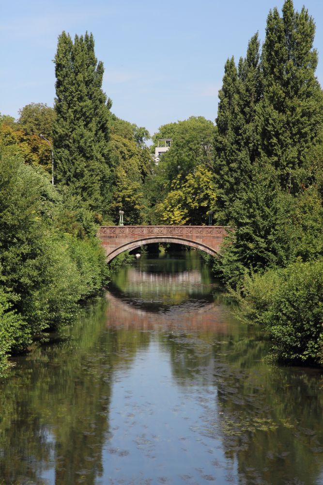 Garten ohne Seerosen