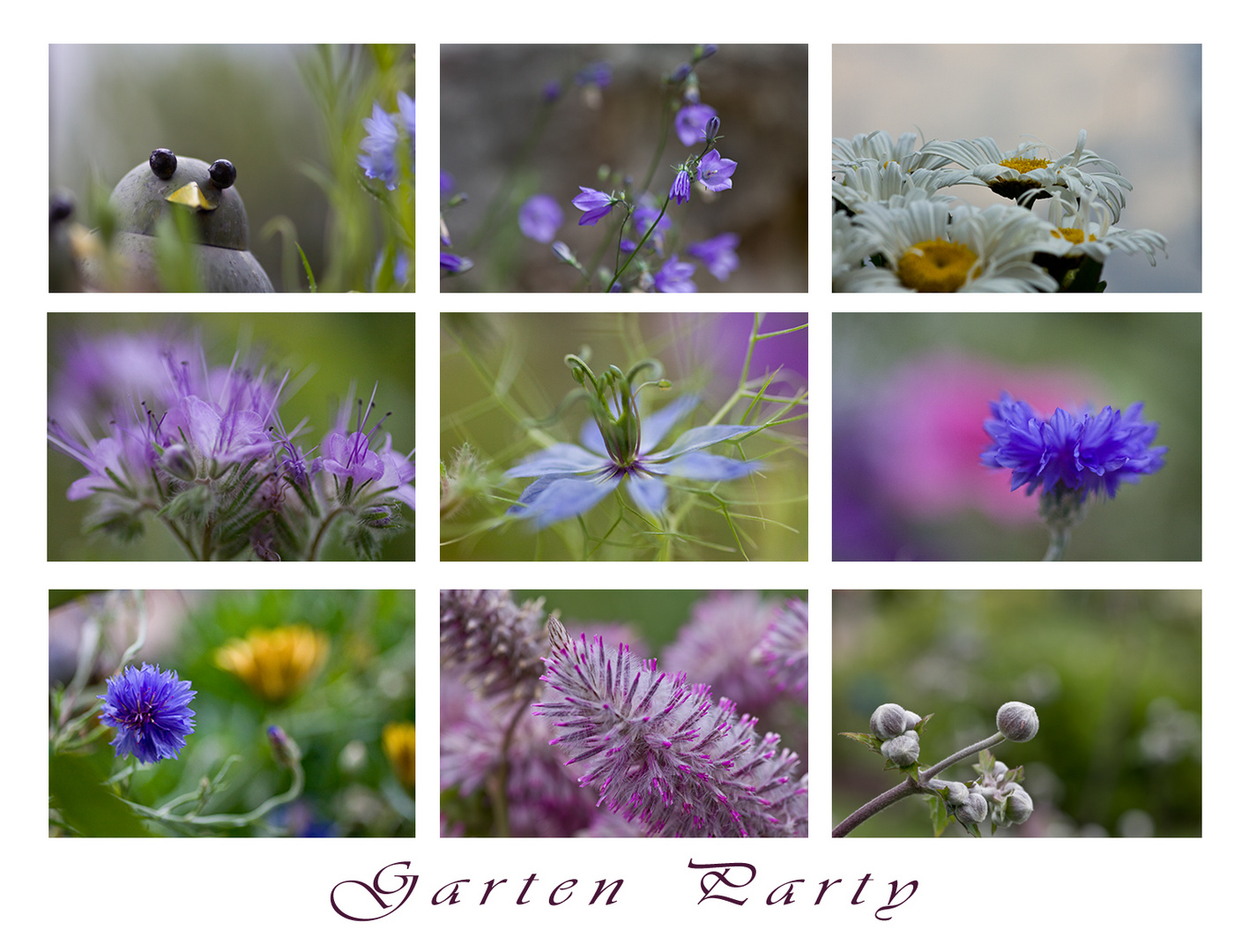 Garten Party