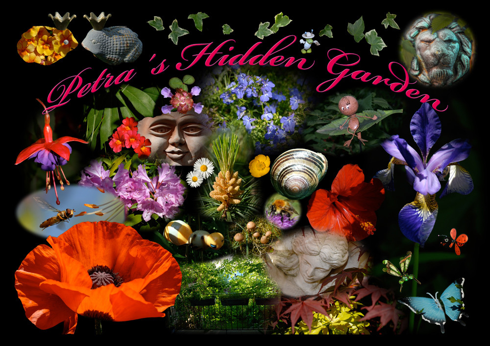 Garten: Petra´s Hidden Garden