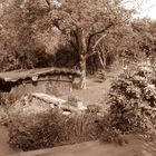 Garten Sepia