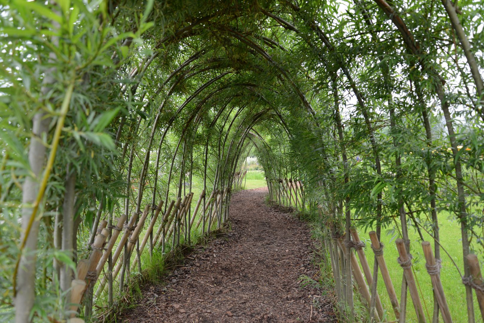 Garten Tunnel Foto & Bild deutschland, europe, hamburg Bilder auf