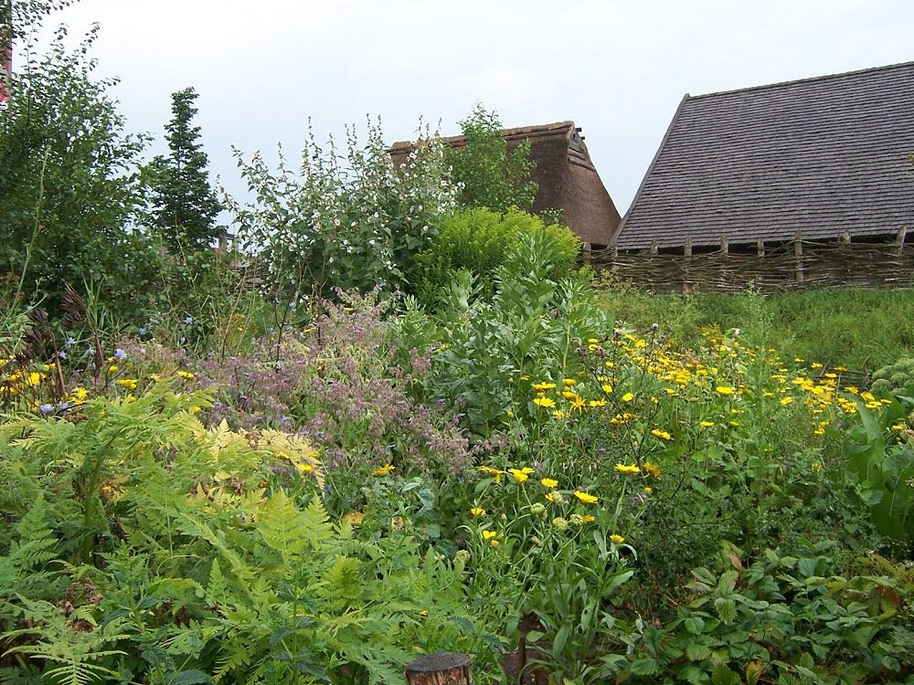 Garten Turmhügelburg Lütjenburg